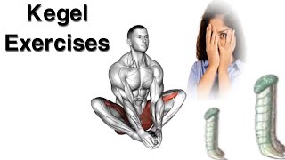 Kegel Exercises  Pelvic Floor Muscles  Yoga [upl. by Hamrah340]