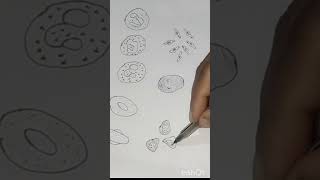 Blood Corpuscles of frogshortvideo trending [upl. by Searle]