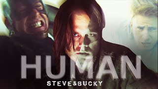 Steve amp Bucky  Only Human Civil War spoilers [upl. by Polad]