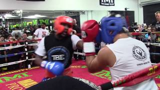 Floyd Mayweather Destroys Sparring Partners [upl. by Drahcir]