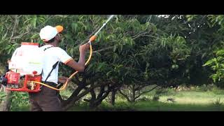 MAAX Knapsack Power Sprayer for high trees [upl. by Un]