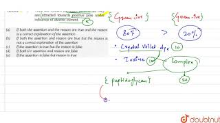 Assertion  None autotrophic bacteria carry out chemosynthesis [upl. by Selwin230]