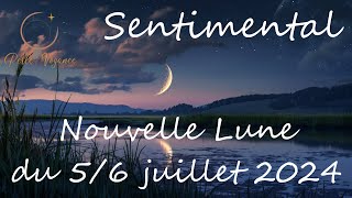 Nouvelle Lune  Sentimental [upl. by Aehtla389]