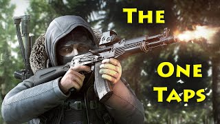 The 1 Taps  Escape From Tarkov [upl. by Gamaliel648]