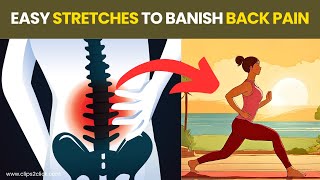 7 Best Lower Back Pain Exercises to Relieve Pain and Improve Mobility [upl. by Haywood]