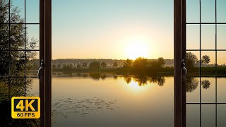 4K Lake window view during sunrise  Relaxing Calming Ambience [upl. by Enitsrik]