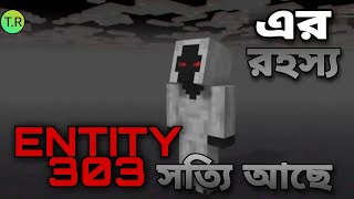 Entity 303  মাইনক্রপট এর গোপন ইতিহাস  Entity 303 story in minecrft explane in banglaHEROBRINE [upl. by Ecyle]