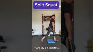 Multiple Sclerosis Exercise  Split Squats [upl. by Laeahcim52]