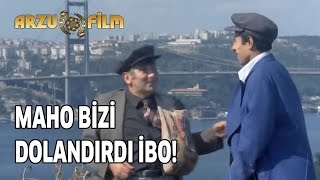 Maho Bizi Dolandırdı İbo  Banker Bilo [upl. by Maidel]