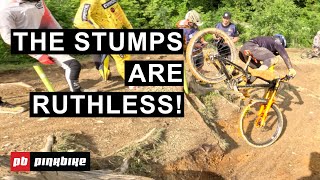 Leogang Privateer Course Preview  Mind The Stumps [upl. by Lovash784]