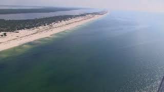 Cownose Ray Migration [upl. by Gaidano172]