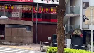 六本木メインストリートの裏路地 Alley behind Roppongis Main Street [upl. by Enelrats884]