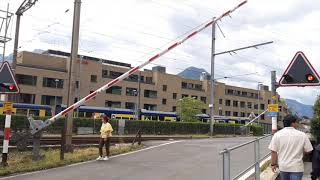 Spoorwegovergang Interlaken CH  Bahnübergang  Railroad Crossing [upl. by Hsinam]