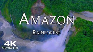 AMAZON Rainforest in 4K 🇧🇷 Worlds Largest Tropical Forest 🌴 Aerial Drone Amazonas [upl. by Colier]