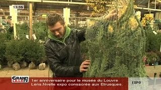 Comment choisir son sapin [upl. by Zusman]