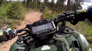 2019 Yamaha Kodiak 700 EPS trail riding on the 717A  part 1 [upl. by Nue]