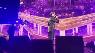 FLORENT PAGNY Immense NANTES 23022018 [upl. by Adiam]