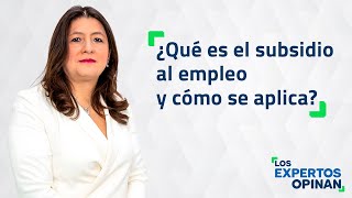 ¿Qué es el subsidio al empleo y cómo se aplica [upl. by Kcirej542]