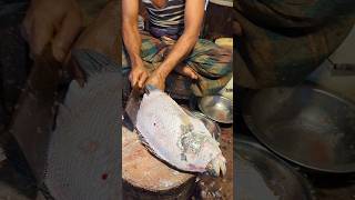 Amazing Tripletail Fish Cutting Skills In Bangladesh Fish Market By Expert Cutter shorts [upl. by Angelia]