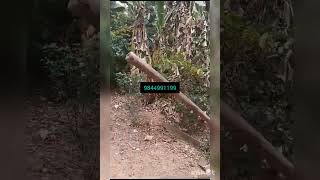 140 Acres Coffee Estate with 2 bhk house for sale in Madikeri Coorg [upl. by Cyndia698]