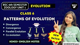 Patterns of Evolution🔥Convergence Divergence CoEvolution Parallel Evolution6th Sem Zoology Unit 1 [upl. by Aracaj]