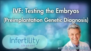 IVF Testing the Embryos Preimplantation Genetic Diagnosis [upl. by Jaymee]