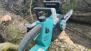 Ferrex Aldi Chainsaw  Quick Review [upl. by Bernstein]