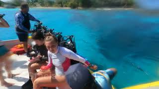 Scuba diving in UTILA Honduras jack neil beach coral reef [upl. by Lordan]