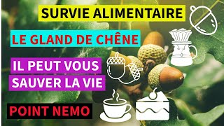 SURVIE  Alimentation  Le GLAND de CHÊNE une vraie pépite  POINT NEMO [upl. by Idell503]