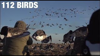 INSANE Lesser Canada Goose Hunt Laying Underneath the Decoys [upl. by Iris]