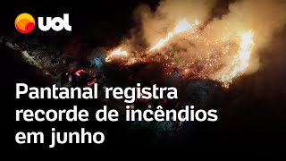 Pantanal registra recorde de incêndios em junho antes da estação seca [upl. by Aitercal]