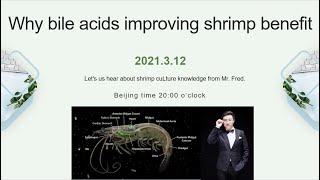 Why the bile acids improving shrimp culture benefit Lets hear about Mr Fred how to said [upl. by Yllah]