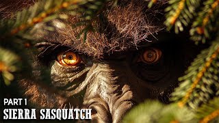 The Sierra Sasquatch Sightings  Part 1  Carl Crusher [upl. by Harli849]