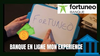 MON EXPERIENCE DE BANQUE EN LIGNE  FORTUNEO [upl. by Lednam306]