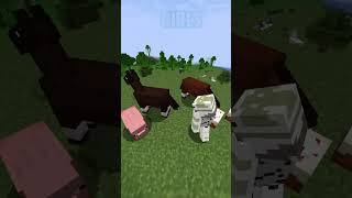 GIRLS VS BOYS MINECRAFT viral trending shorts [upl. by Robbyn]