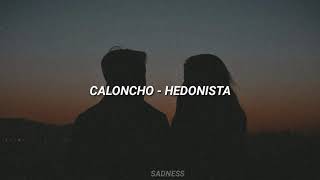 Hedonista  Caloncho Letra [upl. by Anahtor]