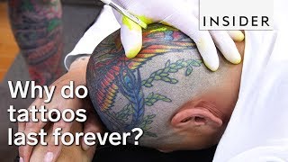 Why Tattoos Last Forever [upl. by Bryn]