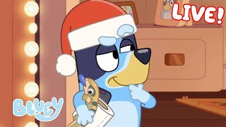 🔴LIVE Its a Bluey Christmas  40 MINUTES  Bluey [upl. by Chappie]