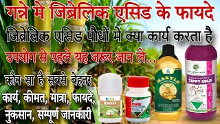 Gibberellic Acid  जिब्रेलिक एसिड क्या कार्य करता है  Plant growth Regulator  ju Gaurav [upl. by Naicul]