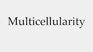 How to Pronounce Multicellularity [upl. by Ramsden]