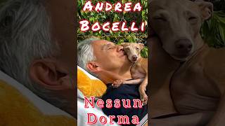 Andrea Bocelli sings quotNessun Dormaquot [upl. by Aerdnaz]