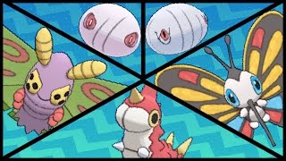 FULL WURMPLE EVOLUTION TEAM Wurmple Silcoon Cascoon Dustox Beautifly [upl. by Gine]