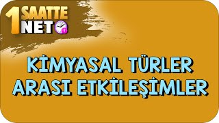 TYT Kimyasal Türler Arası Etkileşimler  Tek Videoda Anlatım kamp2023 [upl. by Ivah]