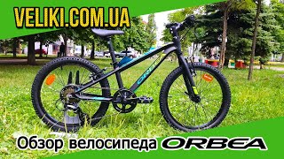 Обзор велосипеда Orbea MX 20 Dirt 2019 [upl. by Couhp]