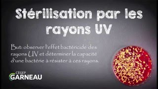 Stérilisation par les rayons UV [upl. by Ddart]