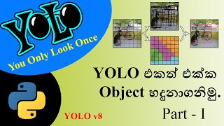 Object Detection with YOLOv8  Part 1  YOLO එකත් එක්ක Object අදුරගමු 📷🤖🖥️ [upl. by Derward]