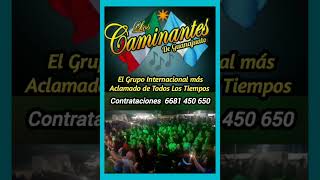 LOS CAMINANTES DE GUANAJUATO Entrega Total [upl. by Monteria]