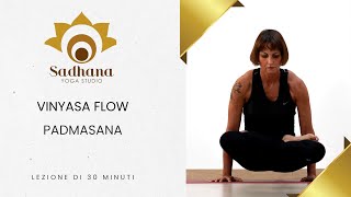 Vinyasa Flow Padmasana Posizione del loto lezione di 30 minuti [upl. by Vittorio984]