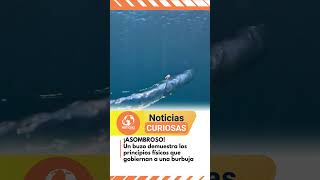 Una mujer demuestra los principios físicos que gobiernan a una burbuja durante una sesión de buceo [upl. by Astera]