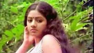 Ilamai Yennum Poongatru Video Song  Pakalil Oru Iravu Movie [upl. by Bradan]